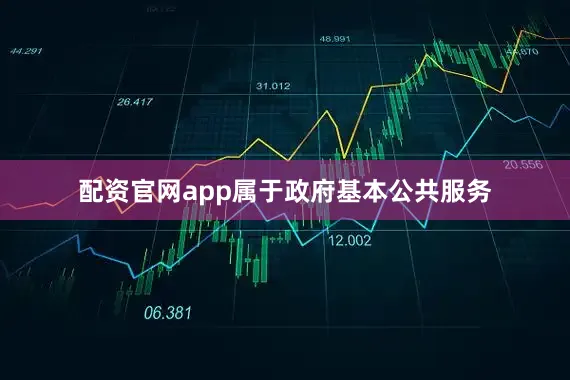 配资官网app属于政府基本公共服务