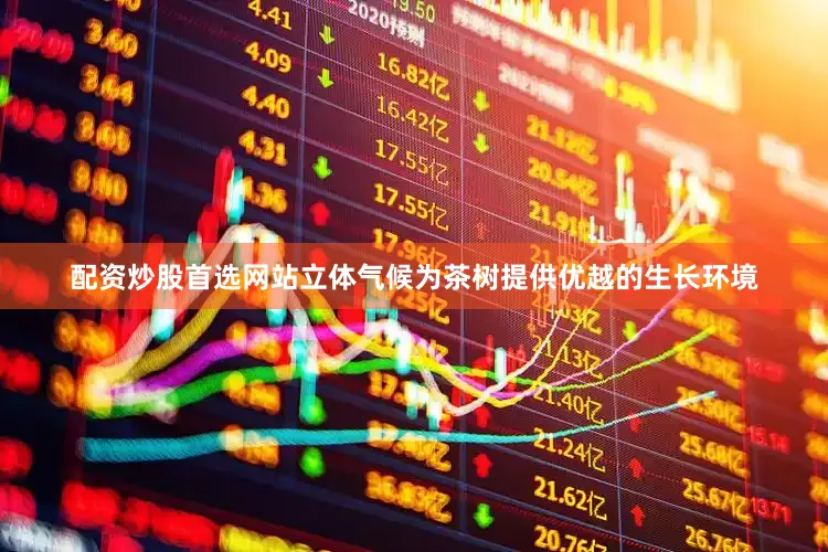 配资炒股首选网站立体气候为茶树提供优越的生长环境